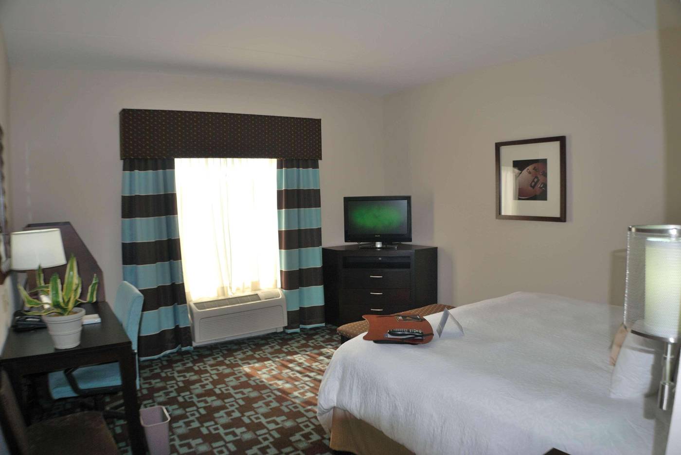 Hampton Inn & Suites Nashville @ Opryland-United States-NASHVILLE-Room-8