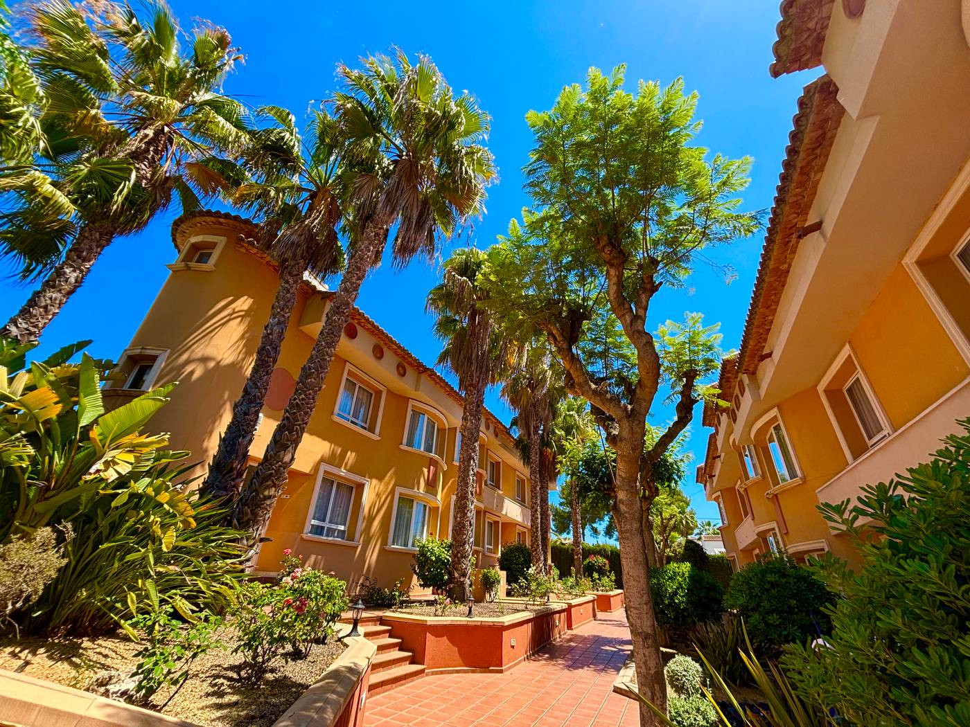 Pinosol-General-view-9