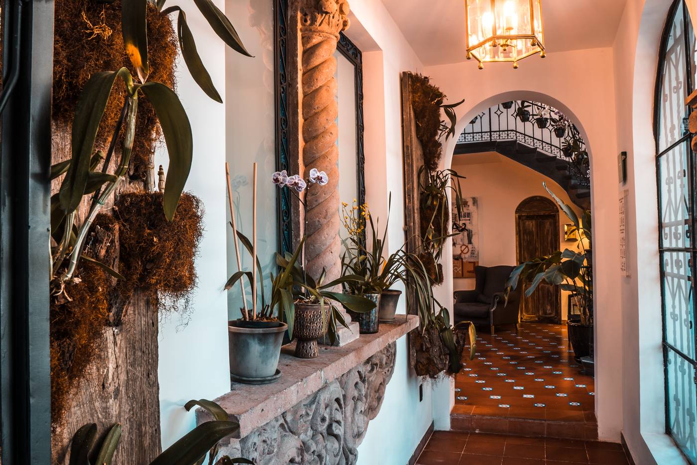Orchid House Polanco-Mexico-Ciudad de México-Lobby-9