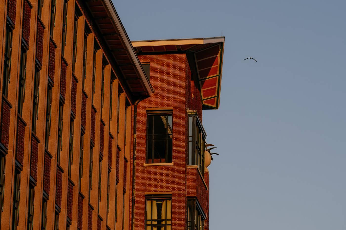 De Plesman-Netherlands-The Hague-General view-1