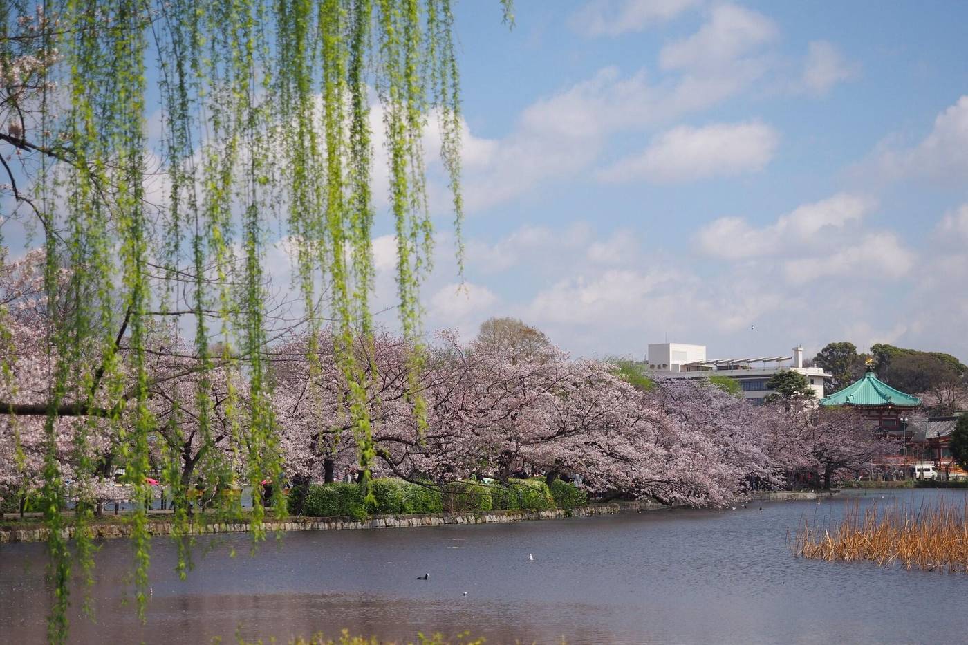 The Gate Hotel Ryogoku by Hulic-Japan-TOKYO-General view-9