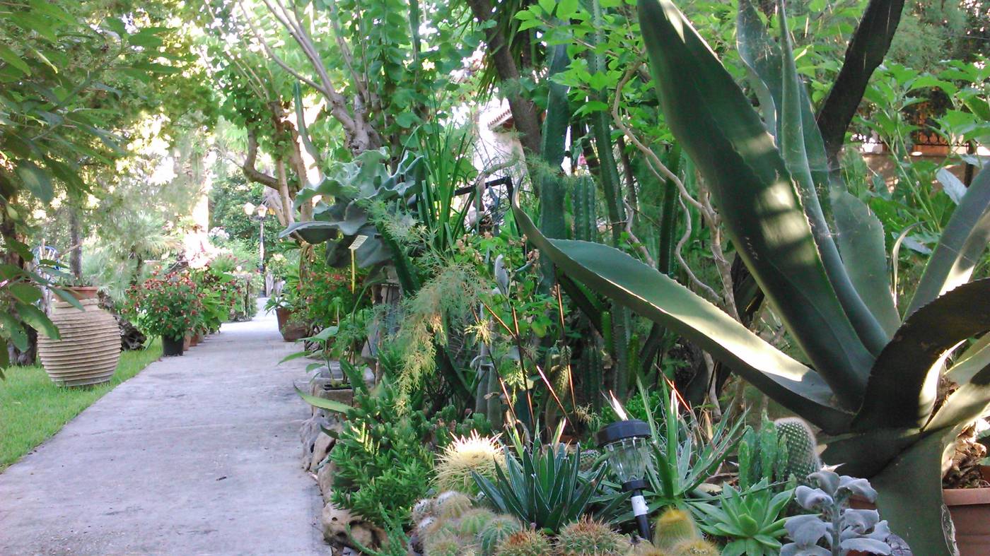 Baha-Ammes-General-view-12