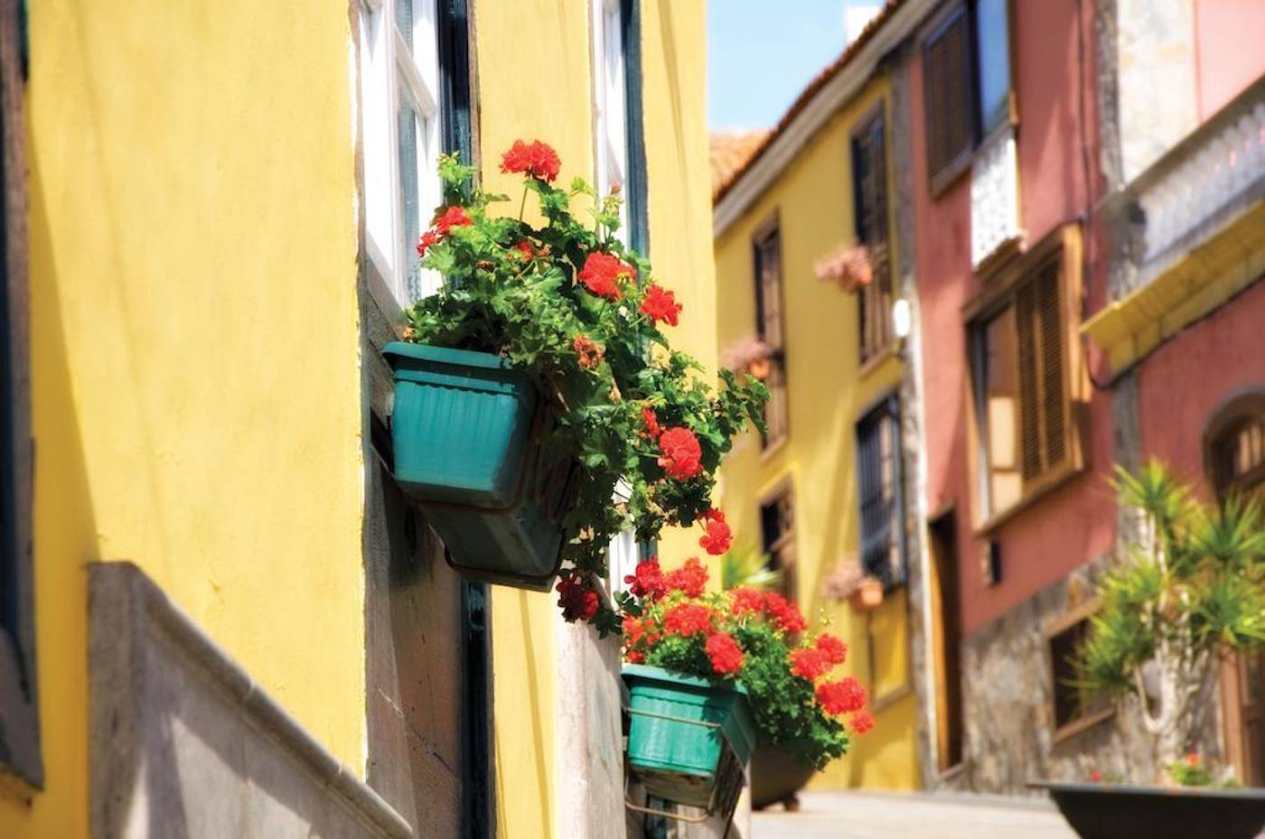 Senderos-de-Abona-General-view-10