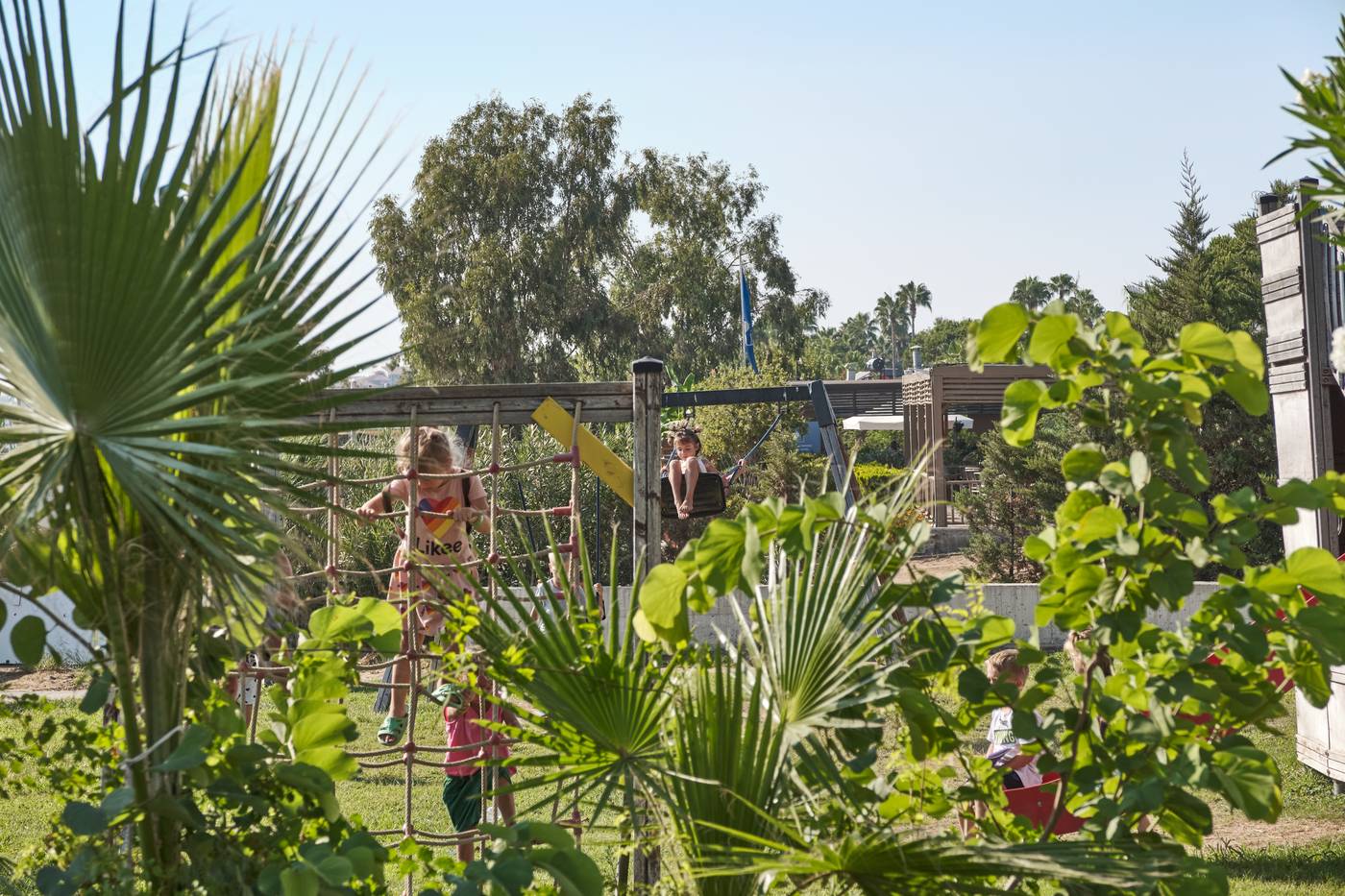 Seaden-Side-Corolla-Sports-and-Entertainment-51