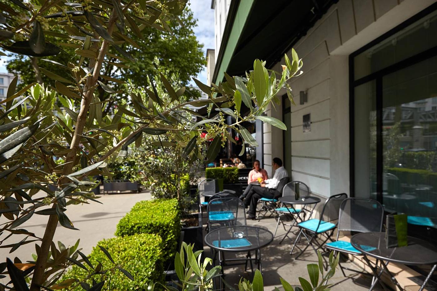 Tourisme-Avenue-Terrace-39