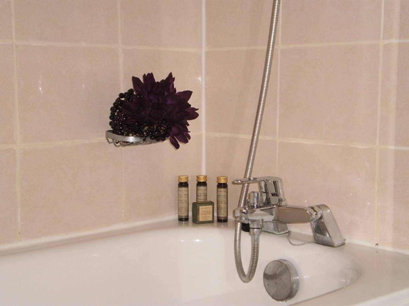 Corona-Rodier-General-view-27