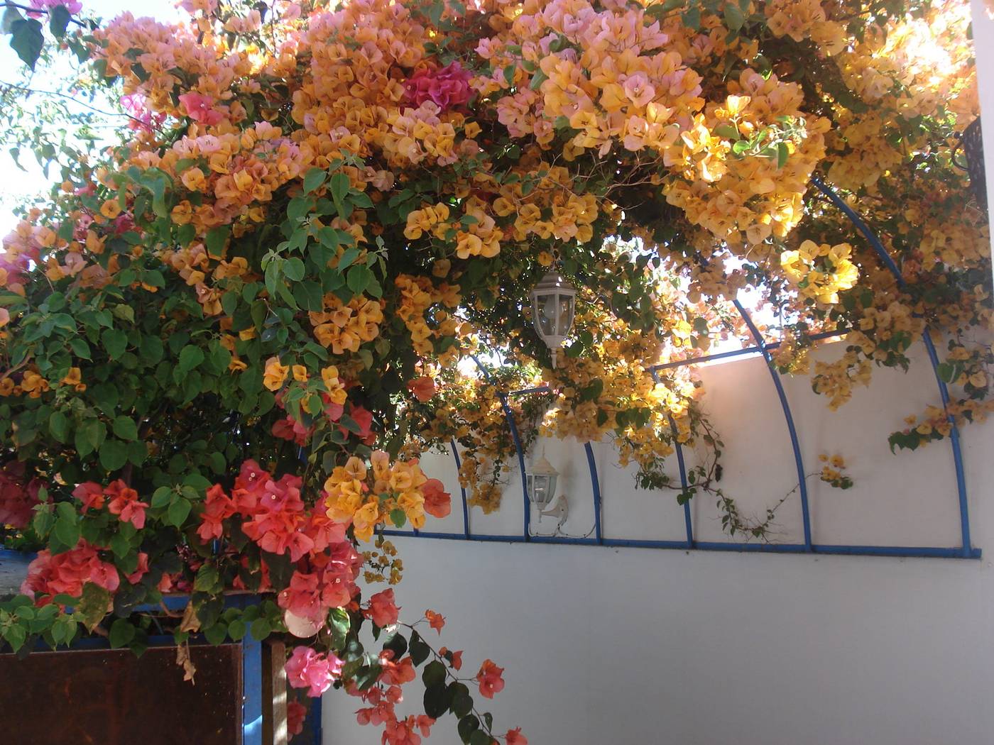 Marlinea-Morocco-SALE-General view-3