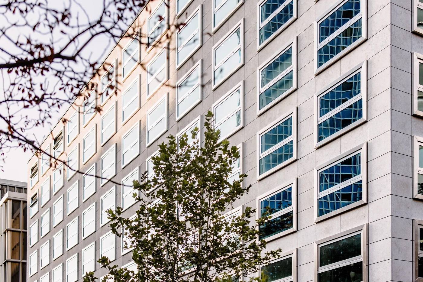 THE FLAG West M. - Germany - FRANKFURT - General view - 9