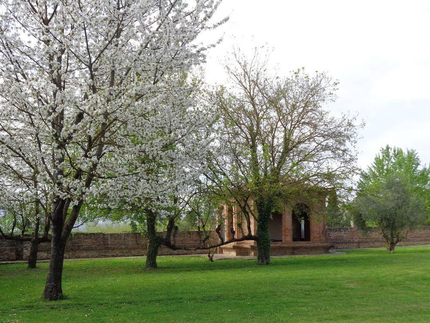 I-Palazzi-San-Lorenzo-a-Linari-General-view-26