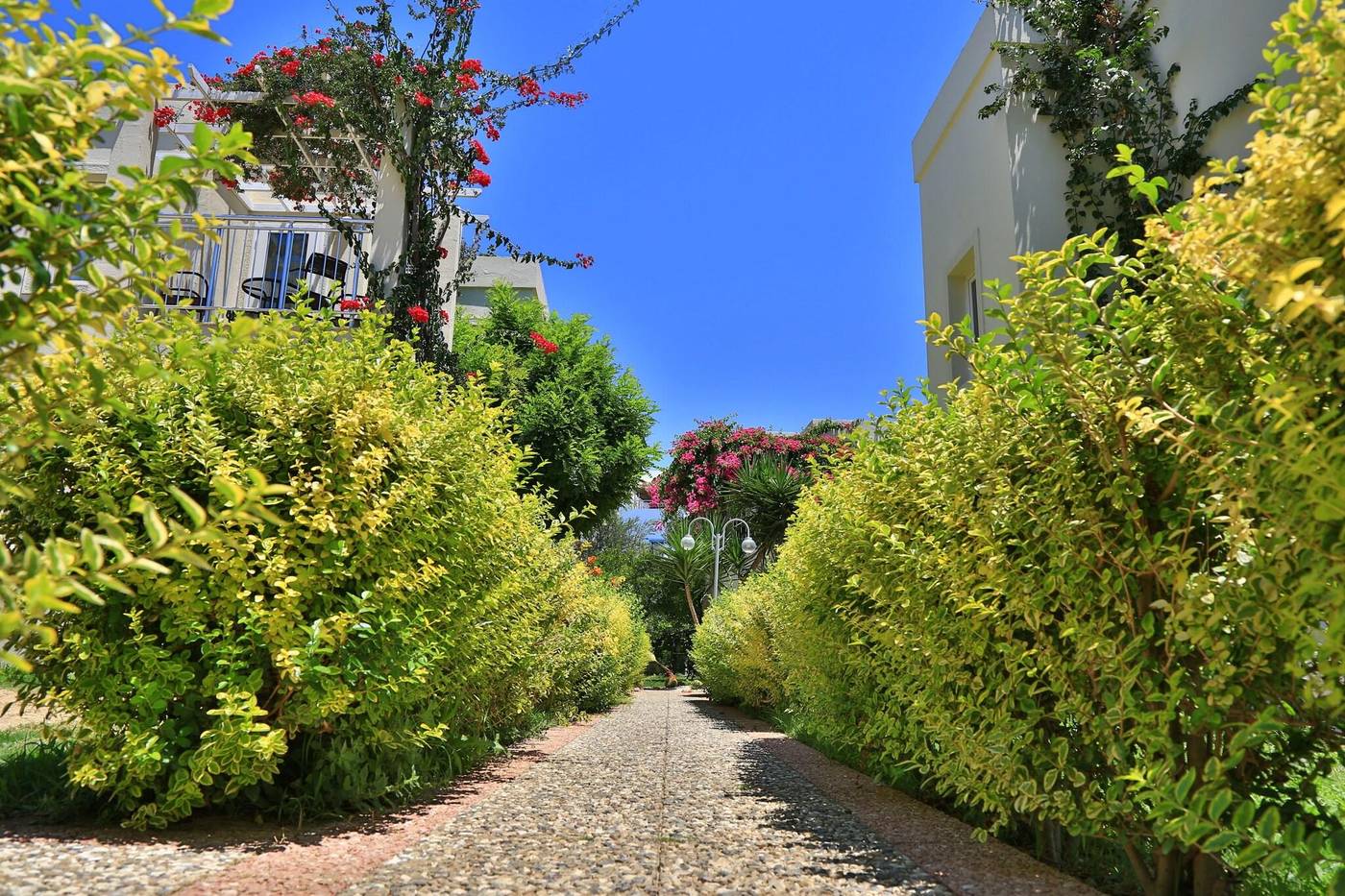 Mandarin-Resort-Bodrum-Terrace-21