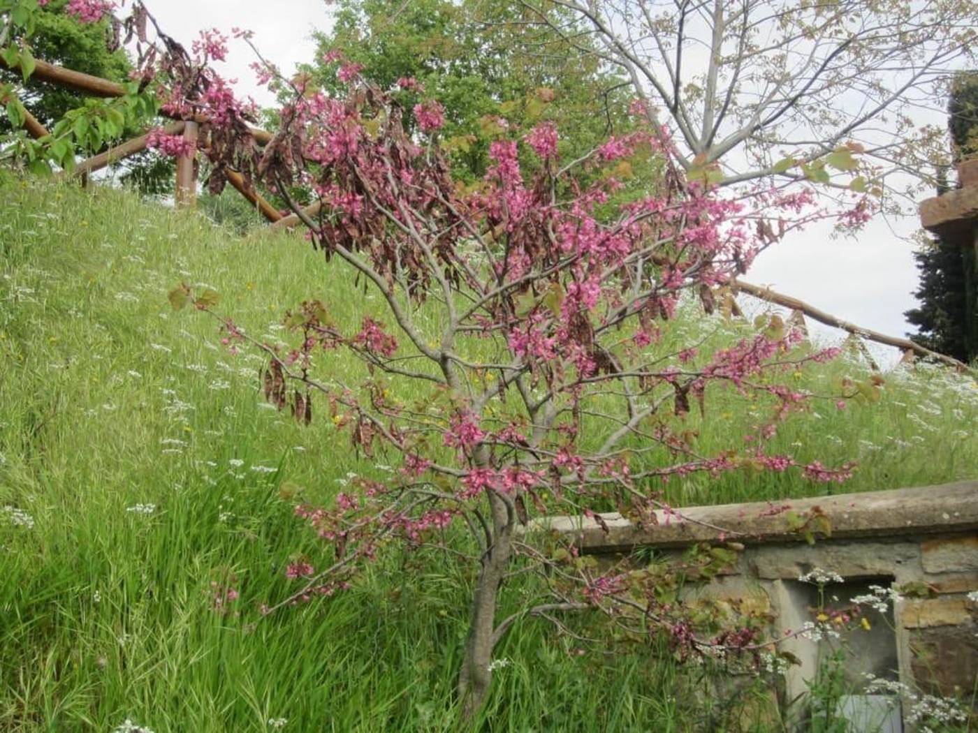 Bed-And-Breakfast-Country-Hill-General-view-19