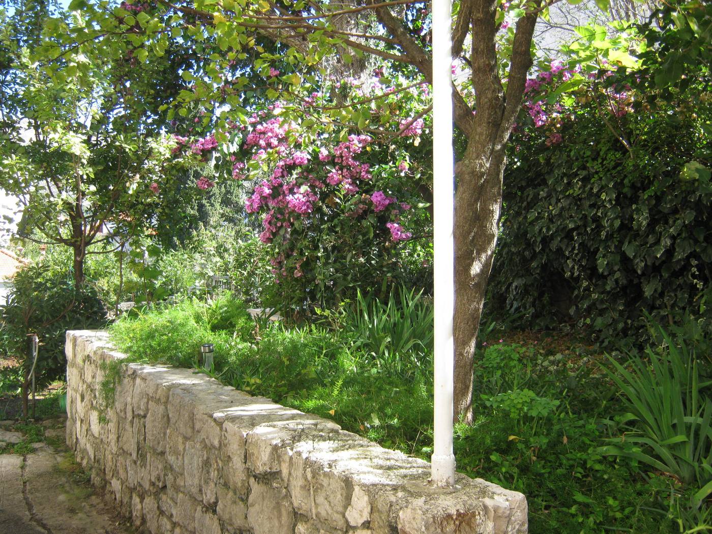 Afrodita-Apartments-General-view-7