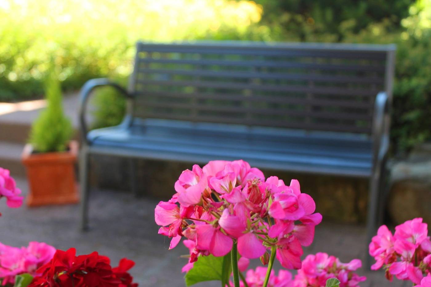 Hotel Flora Stuttgart Ma Hringen-Germany-STUTTGART-General view-4