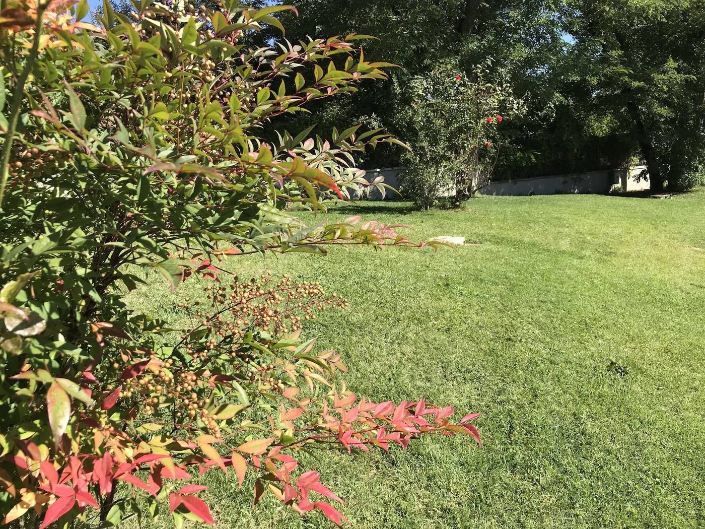 Oasi-Del-Vetoio-General-view-24