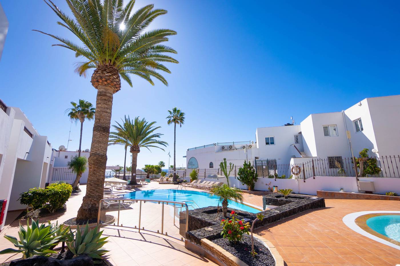 Flamingo-Apartments-Pool-5