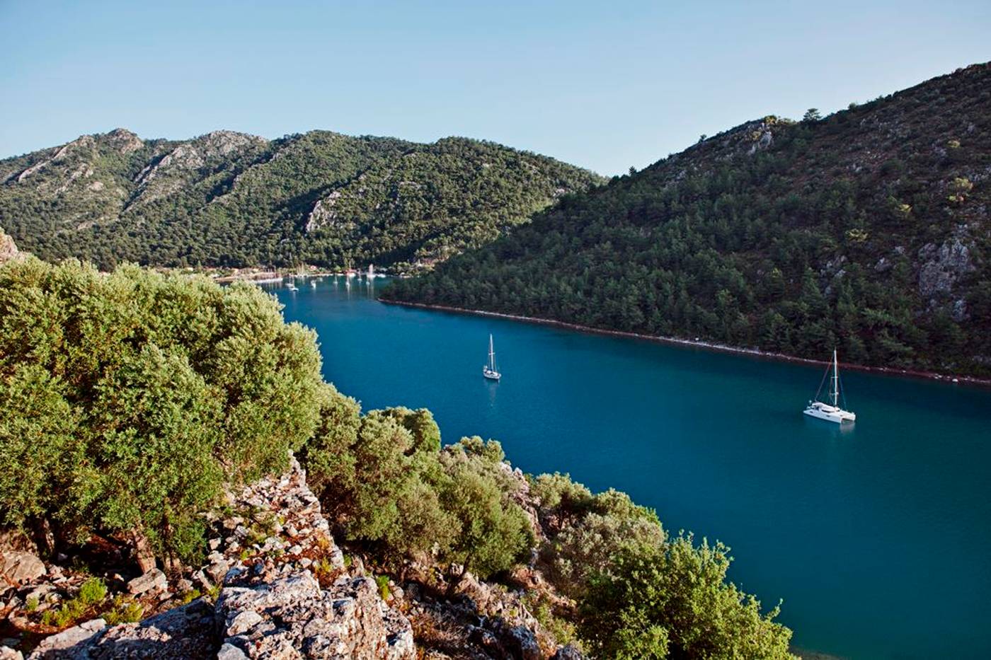 Marti-Hemithea-General-view-44