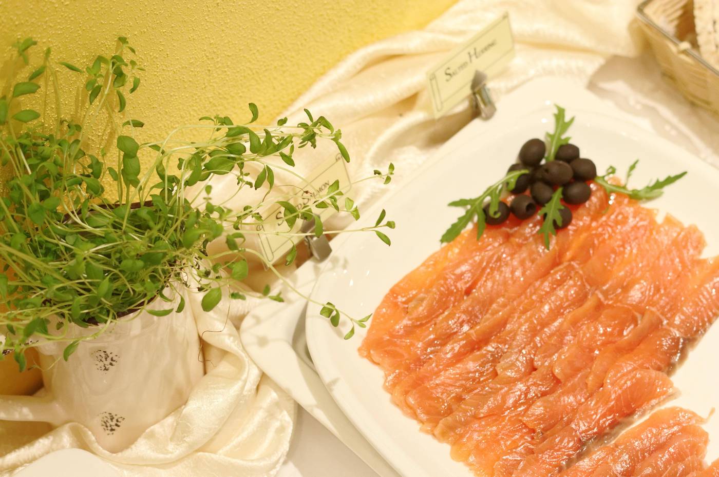 My-City-Hotel-Restaurant-23