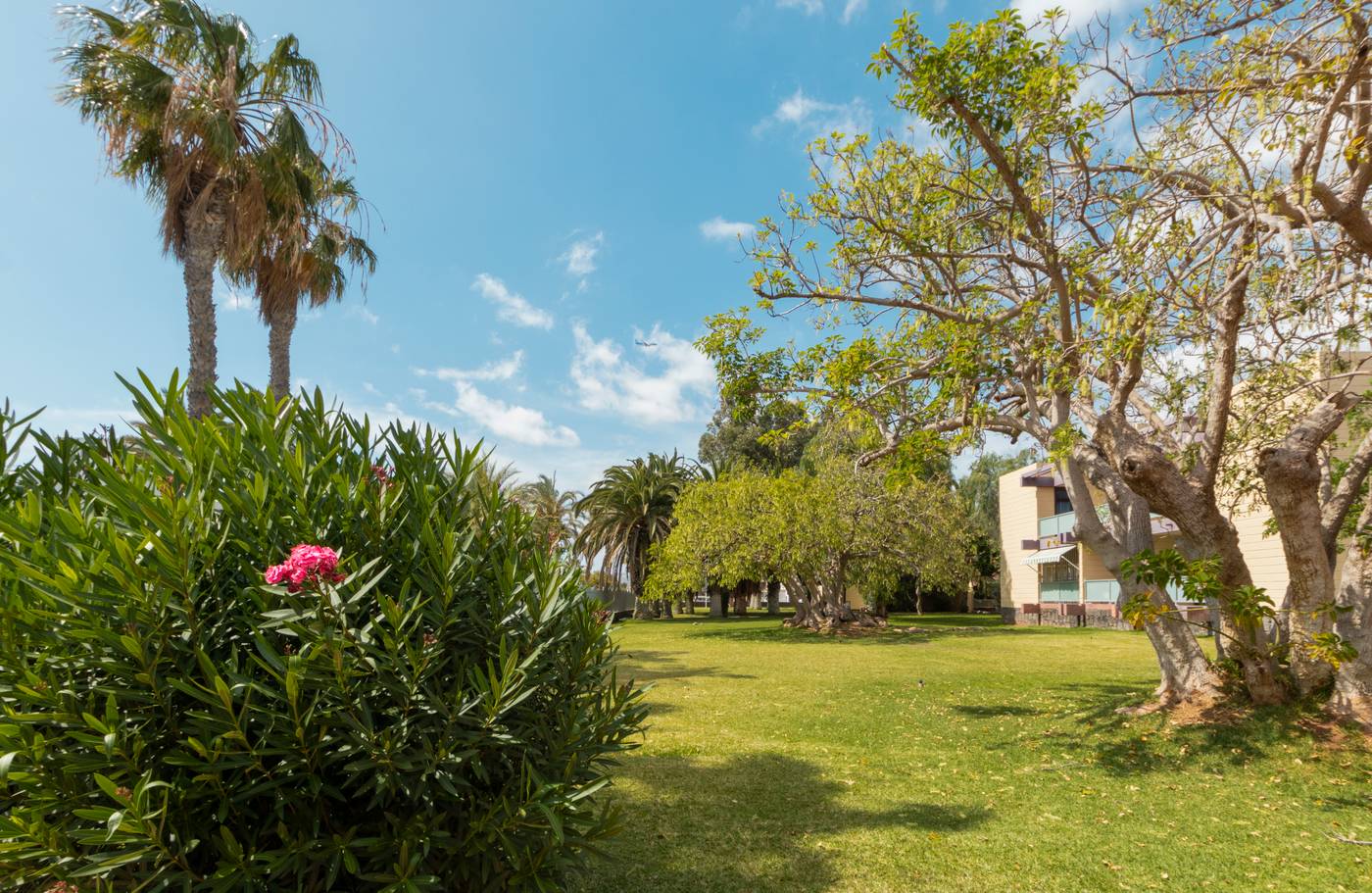 Hotel-Palia-Don-Pedro-General-view-14