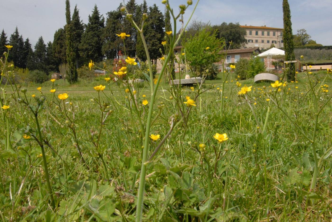 Relais-Del-Lago-General-view-33