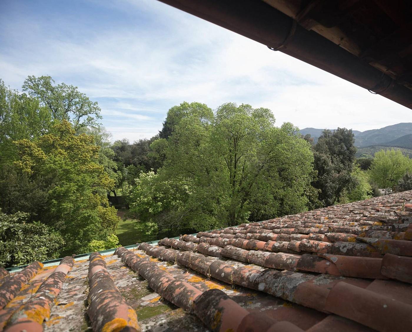 Villa La Principessa-Italy-Lucca-General view-10