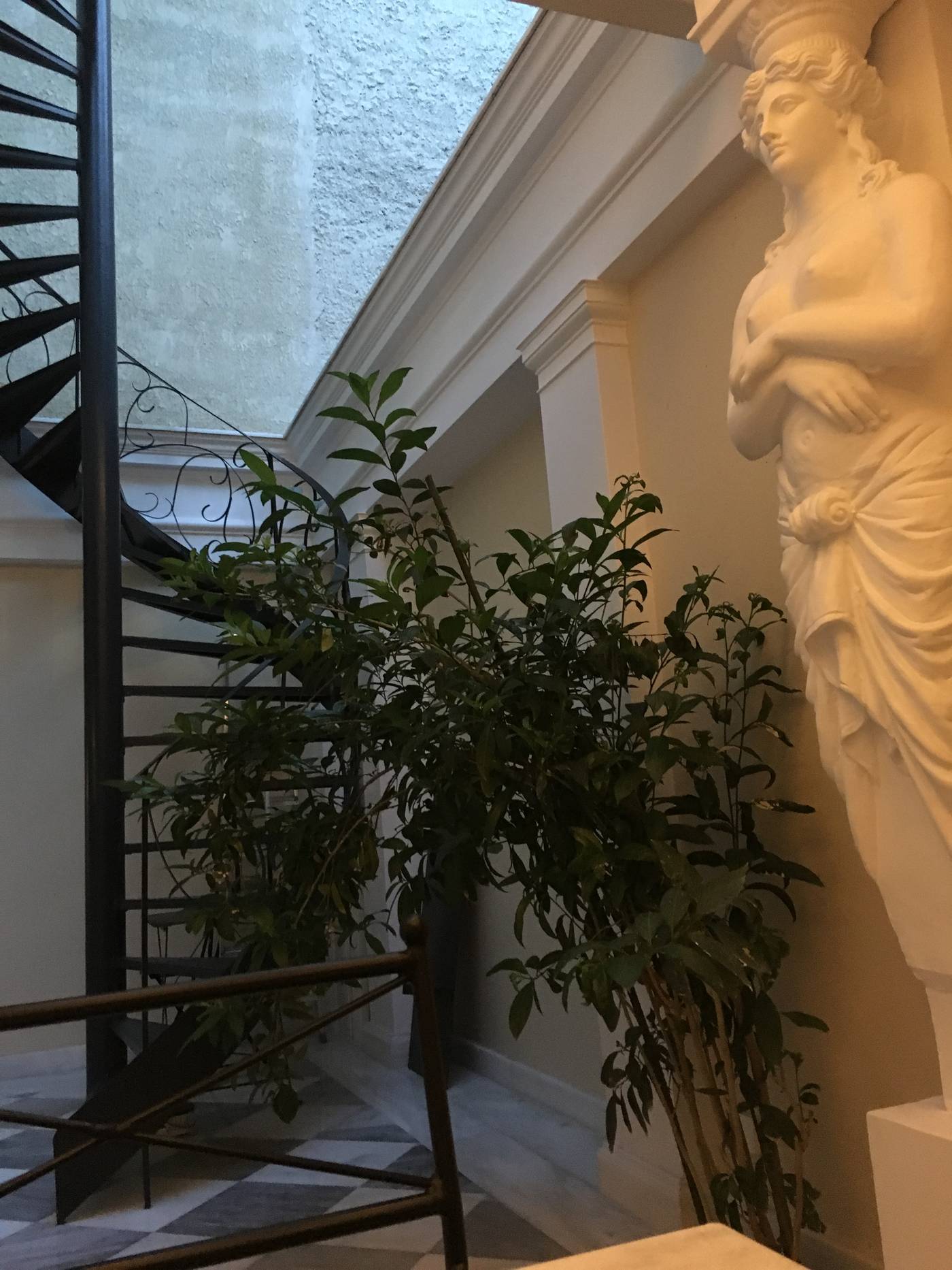 Noble-Suites-General-view-16