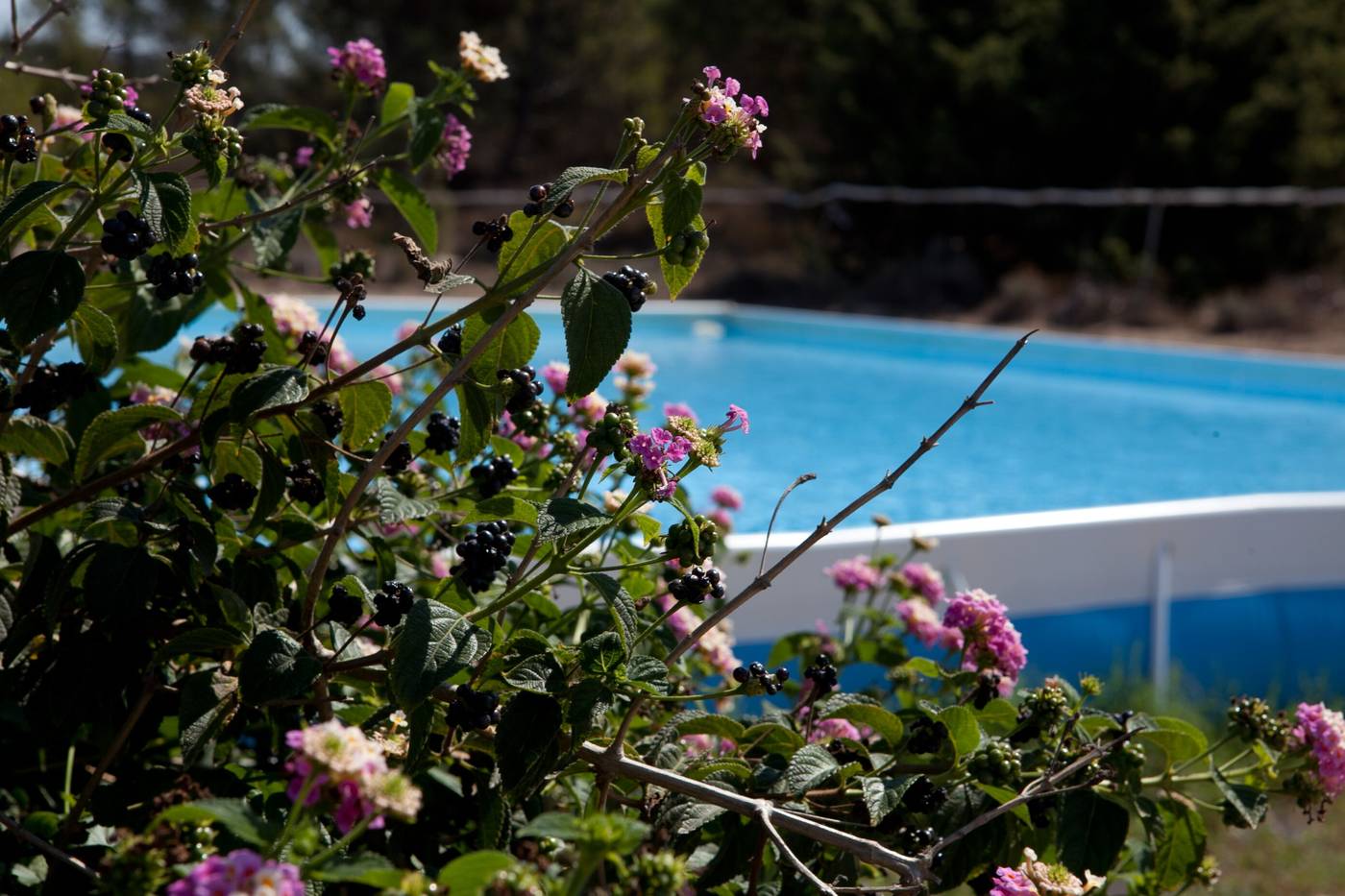 Club-Esse-Gallura-Beach-Village-Pool-14