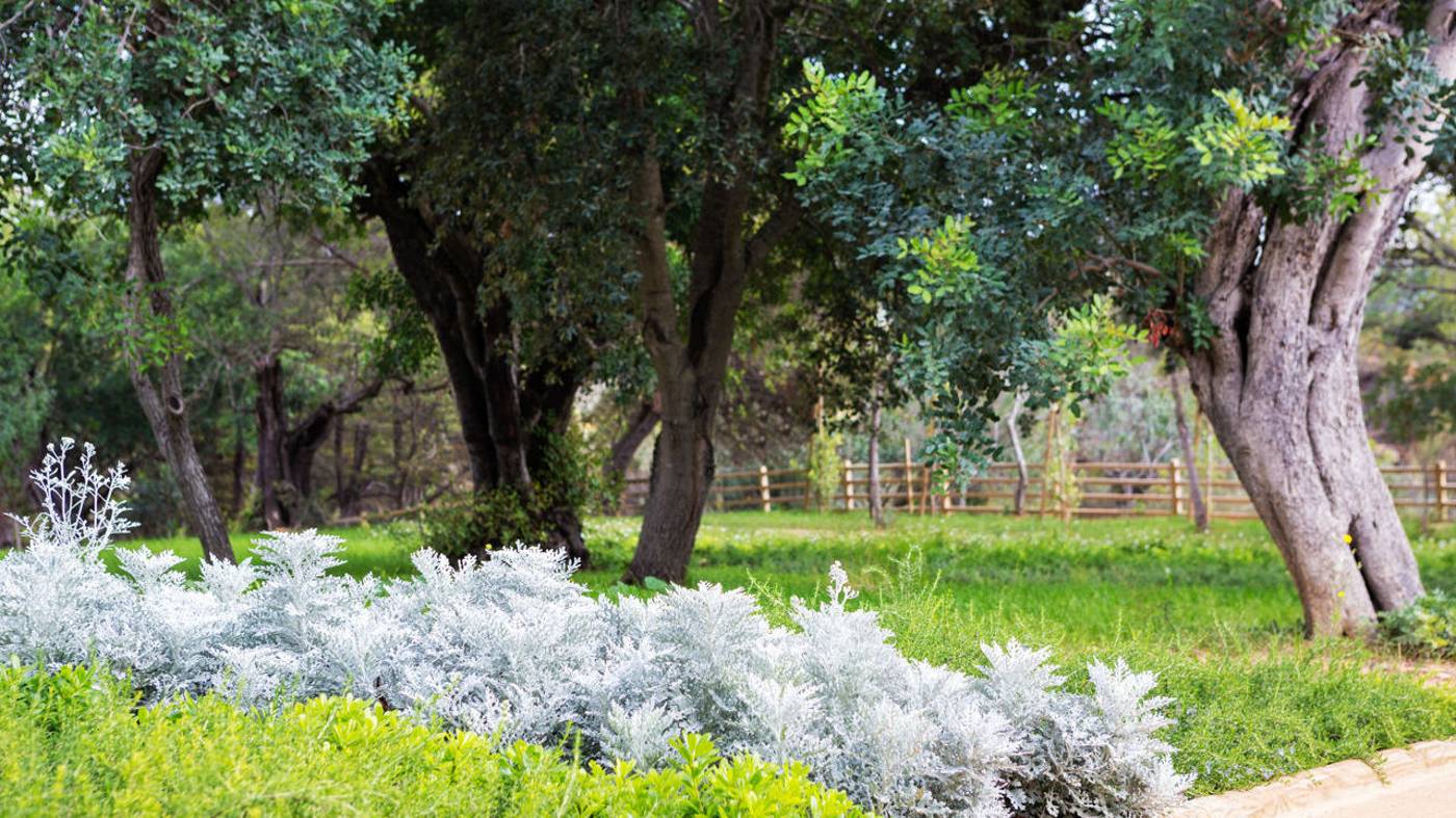 Ozadi-Tavira-Hotel-Terrace-17