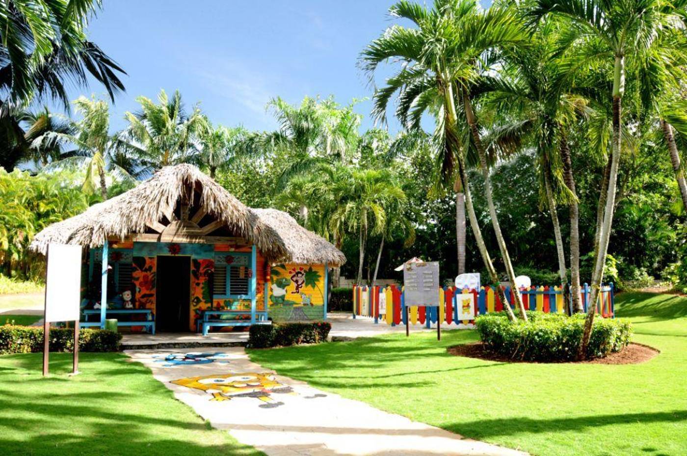 Coral Costa Caribe