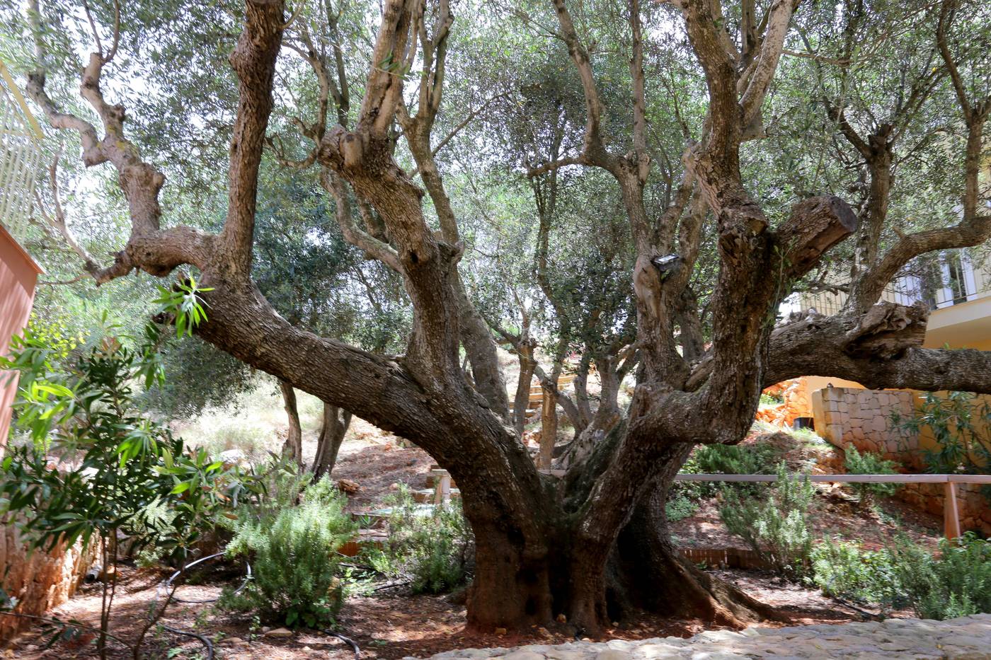 Petani-Bay-Terrace-31