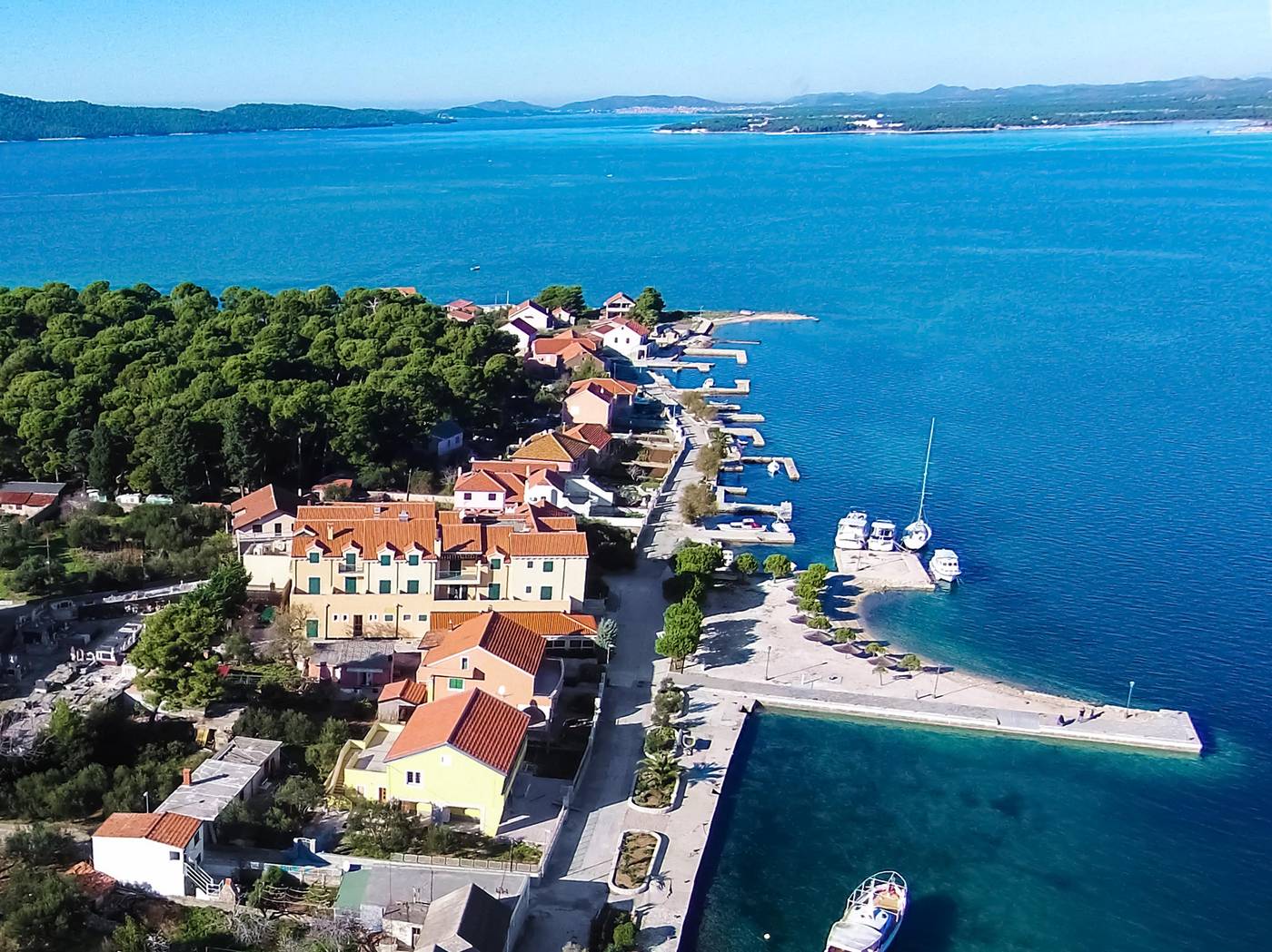 Spongiola-General-view-68