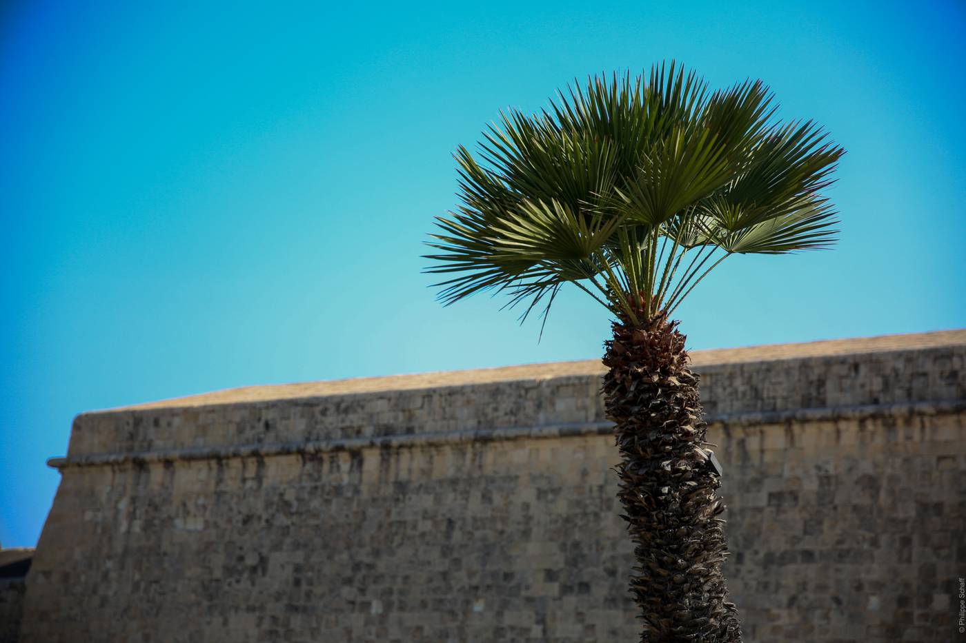 Hotel-Phoenicia-Sports-and-Entertainment-19