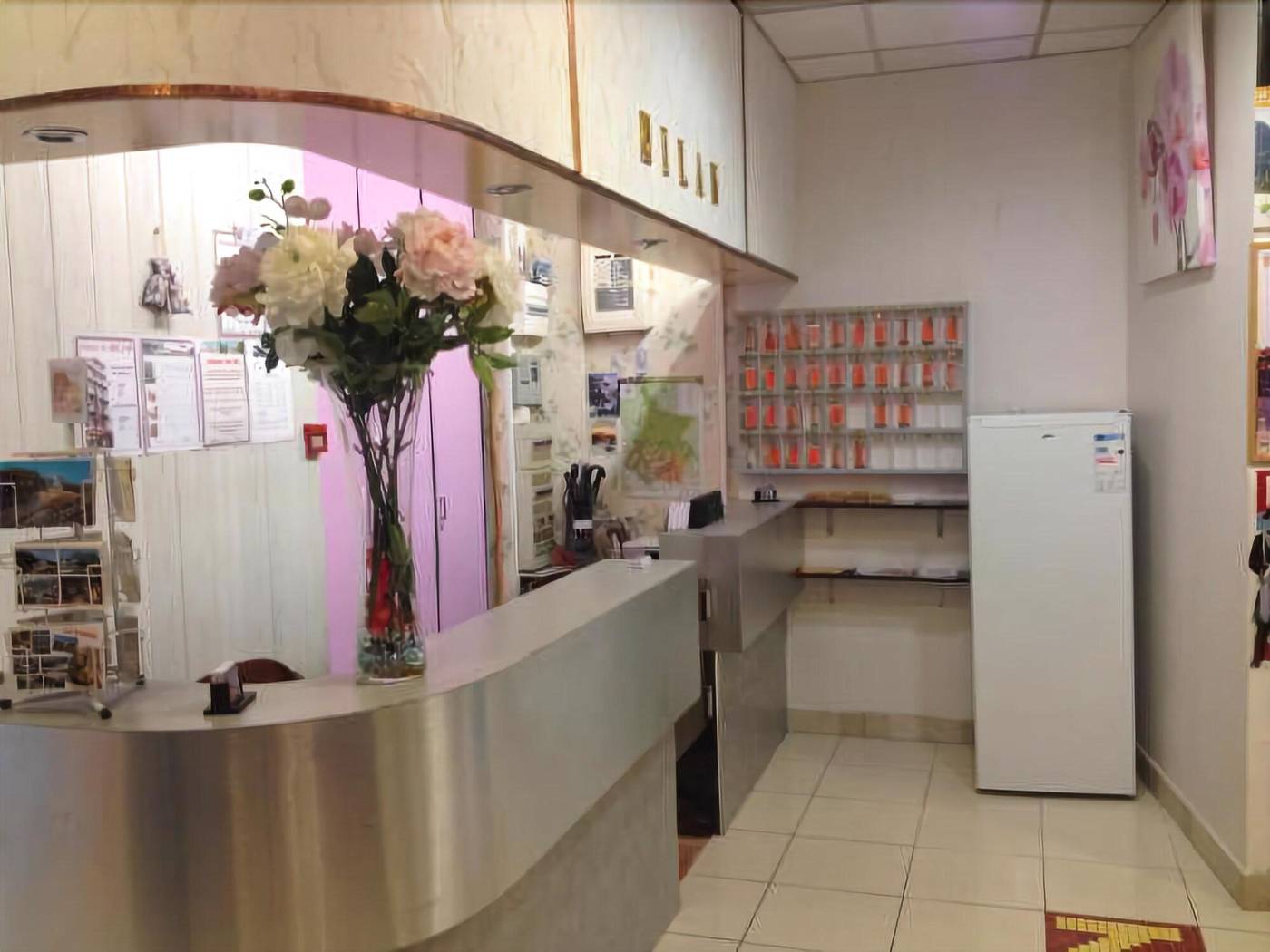 Hôtel Le Milan-France-LOURDES-Lobby-4