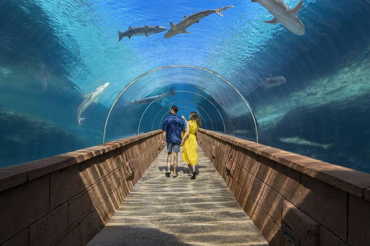 The-Coral-at-Atlantis-General-view-54