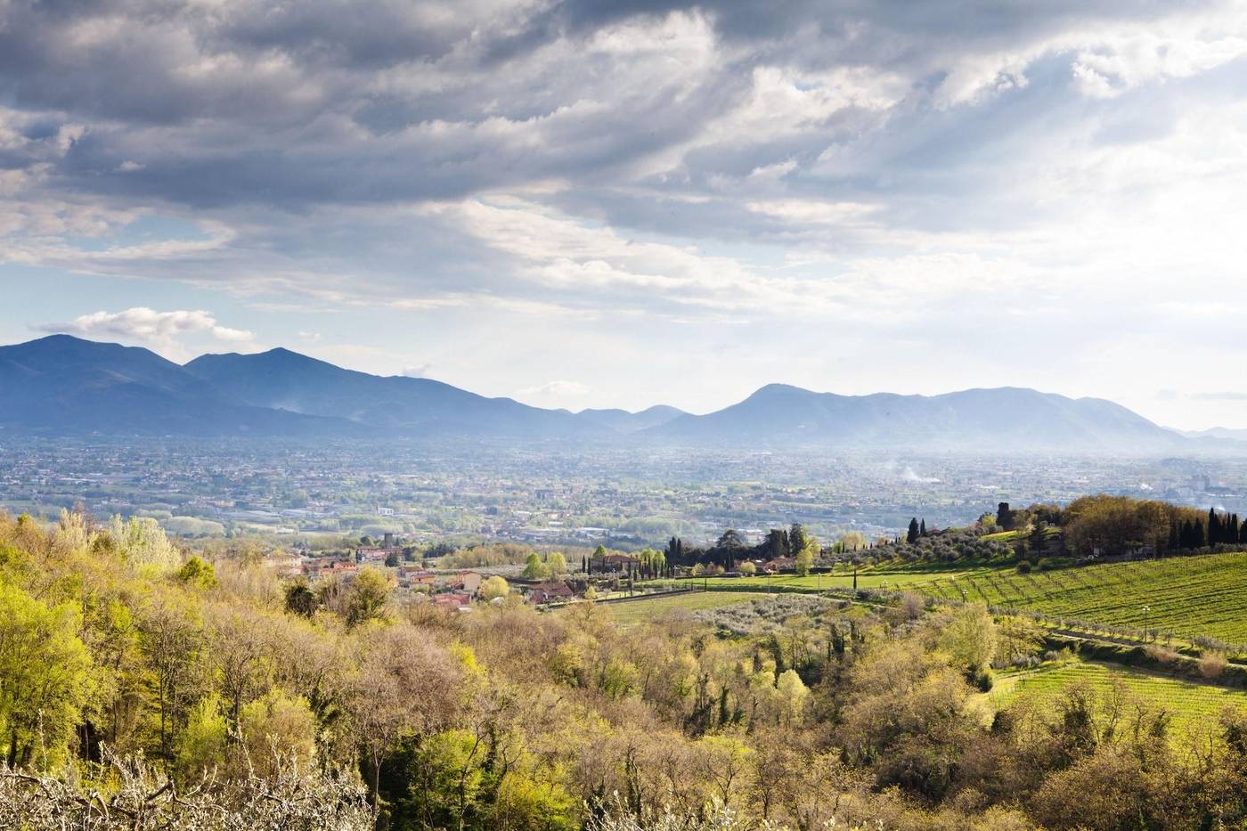 Tenuta-San-Pietro-General-view-25