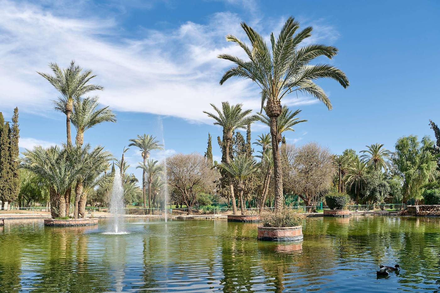 Iberostar-Waves-Club-Palmeraie-Marrakech-Sports-and-Entertainment-9