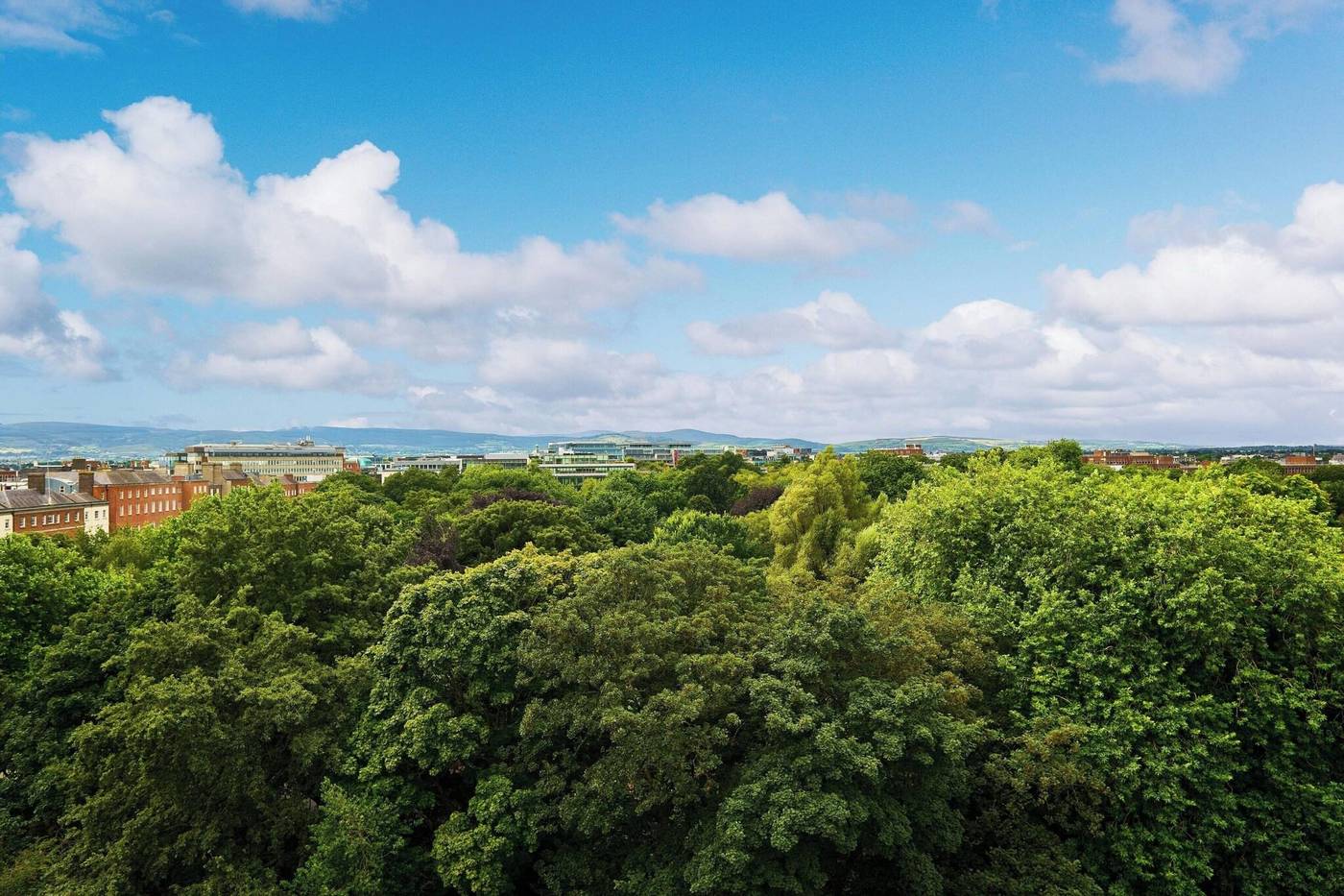 The-Shelbourne--Autograph-Collection-Room-80