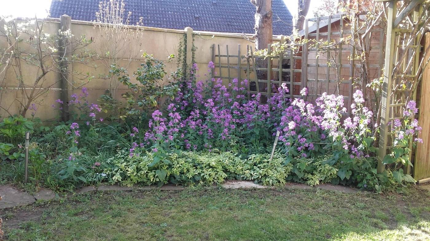 Chambre Du Jardin Fleuri-France-SAINT-AUBIN-LES-ELBEUF-General view-6