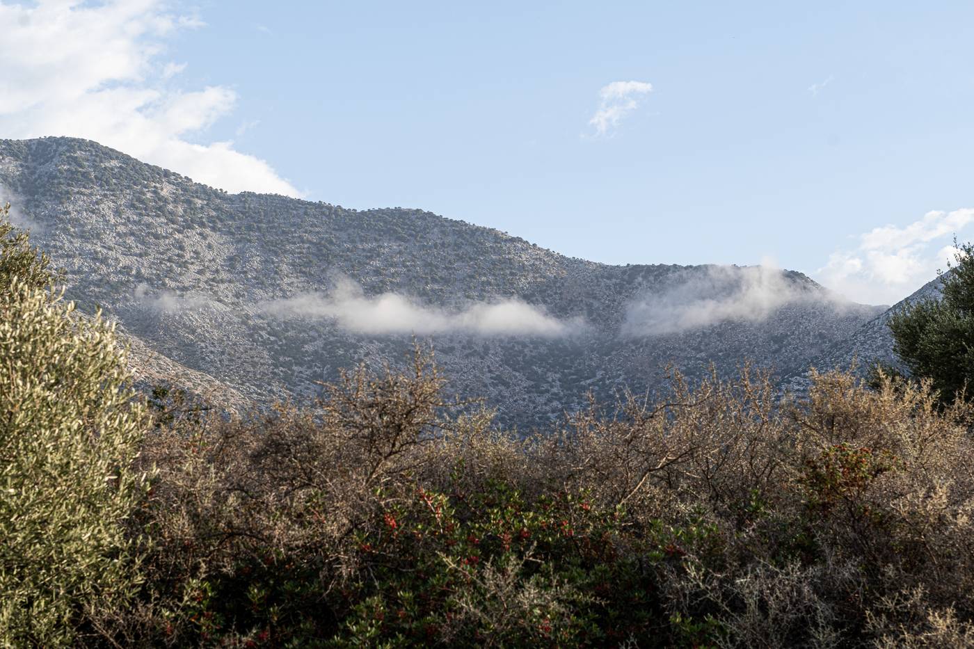 Elpis-Studios---Apartments-General-view-41