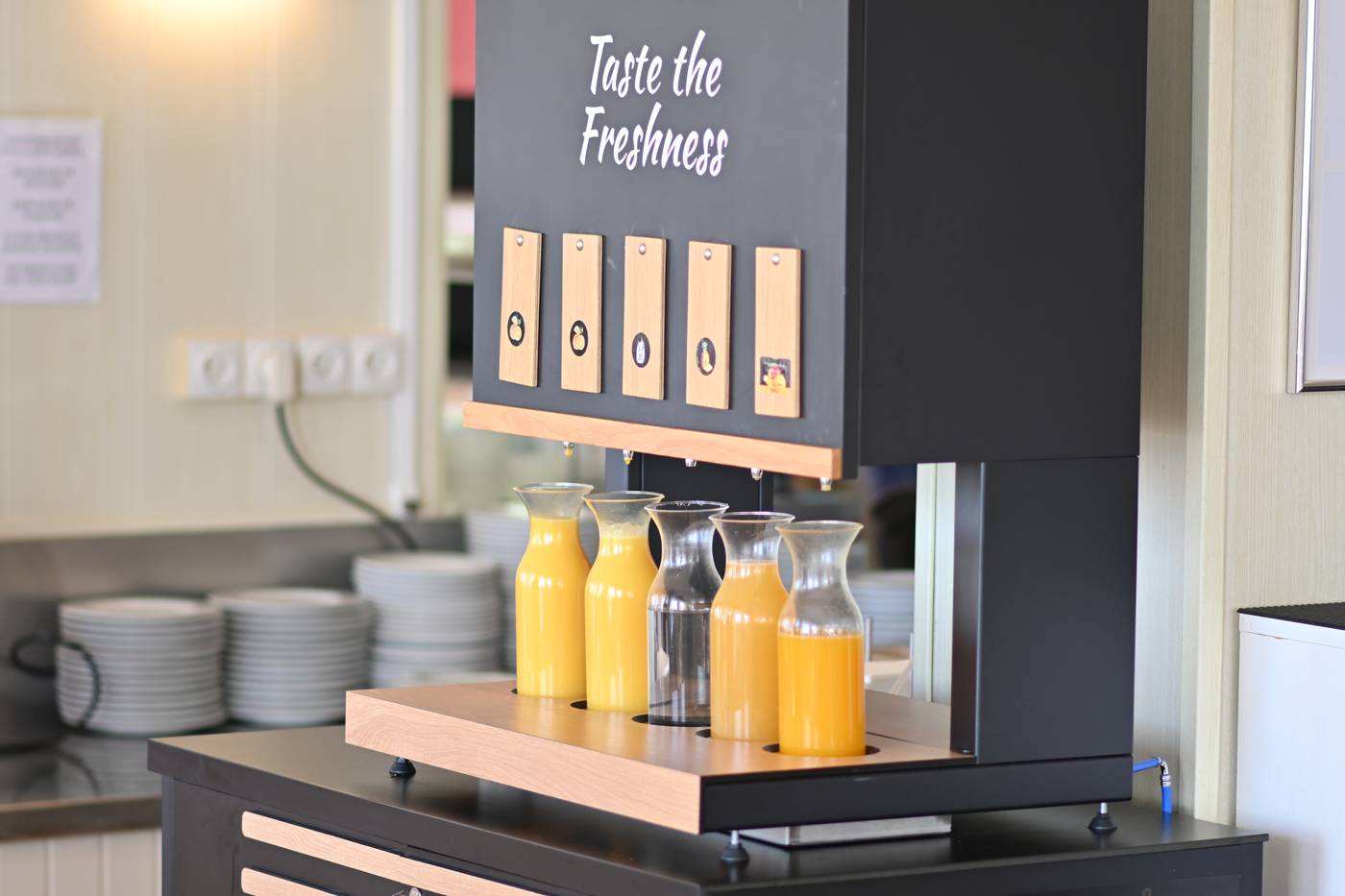 Ibiza-Playa-Restaurant-28