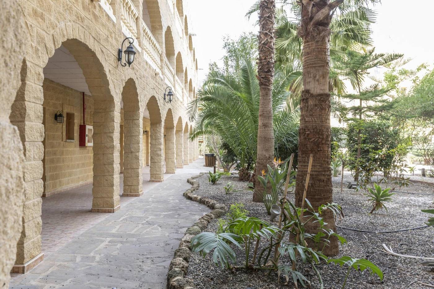 Hotel-Plaza-del-Castillo-Terrace-6