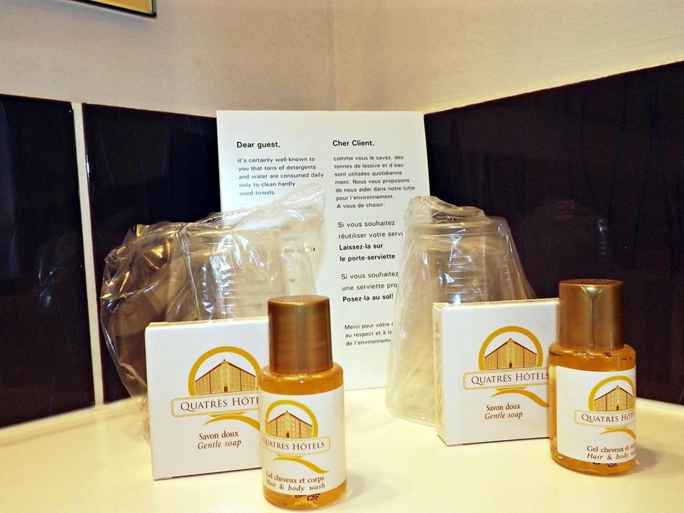 Majestic Lourdes-France-LOURDES-General view-1