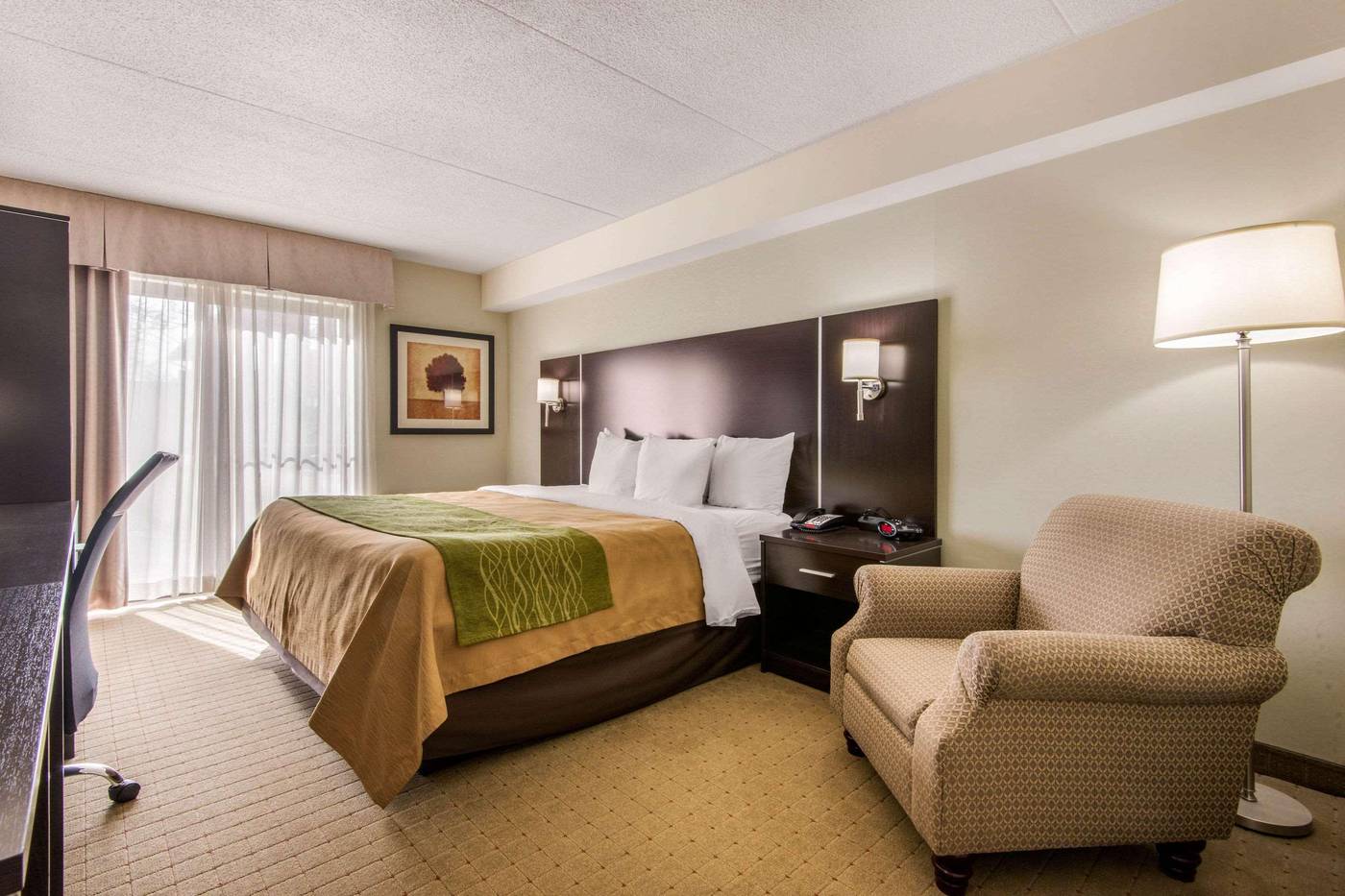 Comfort Inn Toronto Airport West-Canada-MISSISSAUGA-Room-10