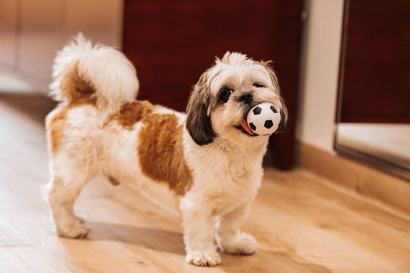 Delta-Hotels-by-Marriott-Jumeirah-Beach-General-view-52