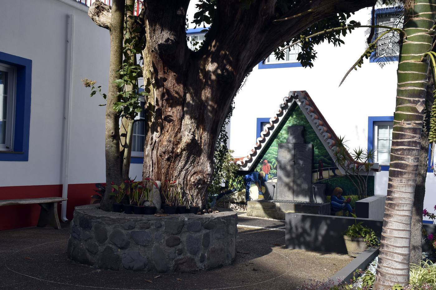 O-Colmo-General-view-30