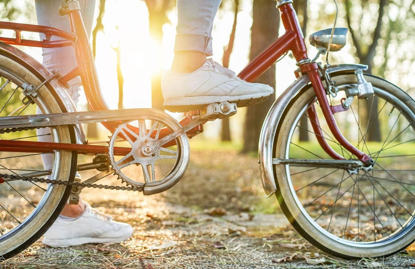 Hotel Park Villa-Mexico-MEXICO CITY-Sports and Entertainment-5