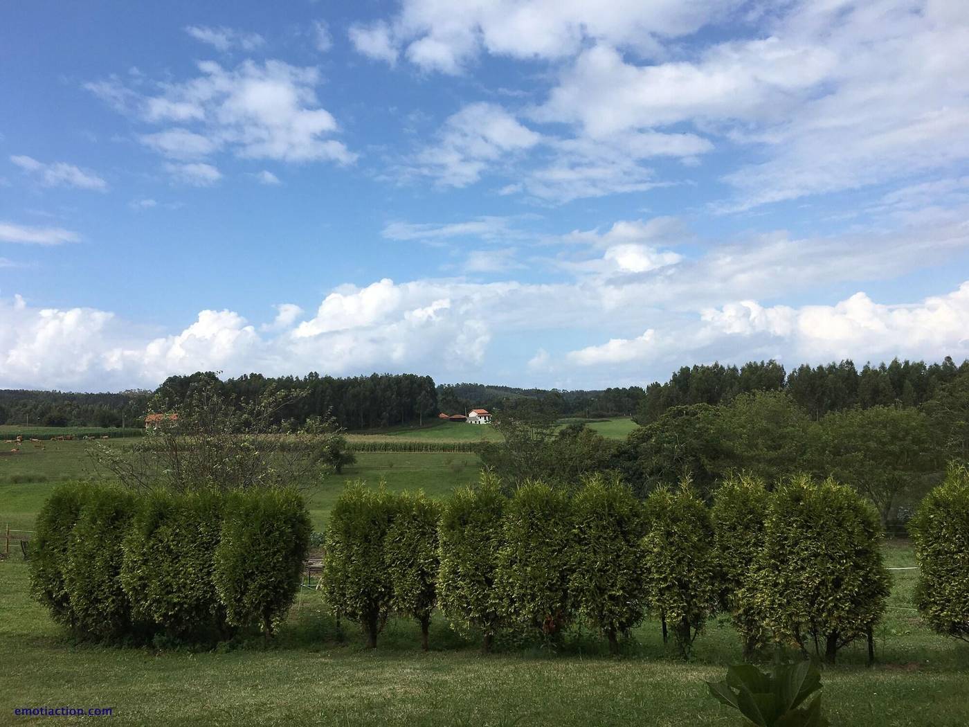 La Llosa De Fombona-Spain-SUSACASA-General view-3
