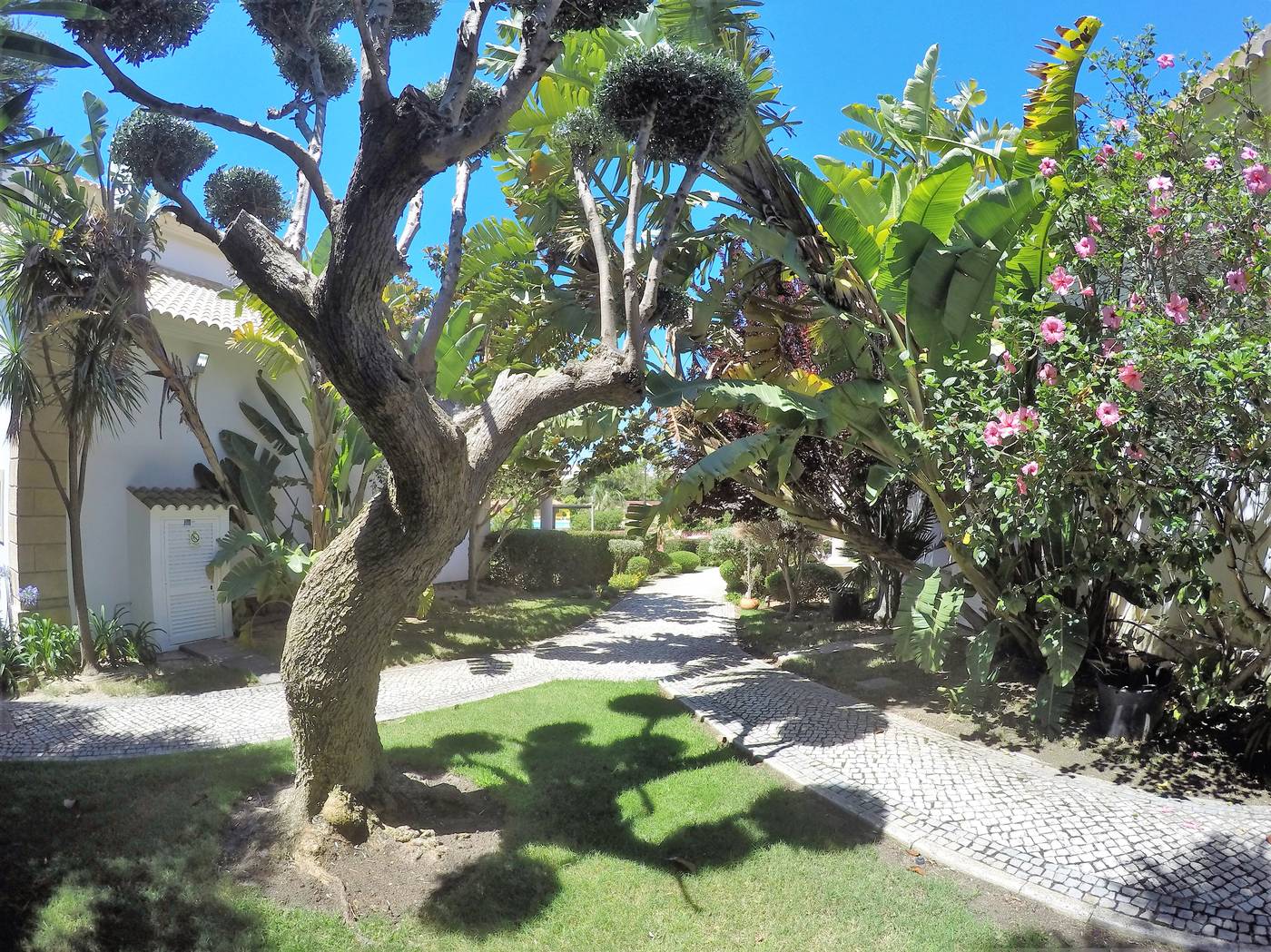 Luzmar-Villas-Terrace-17