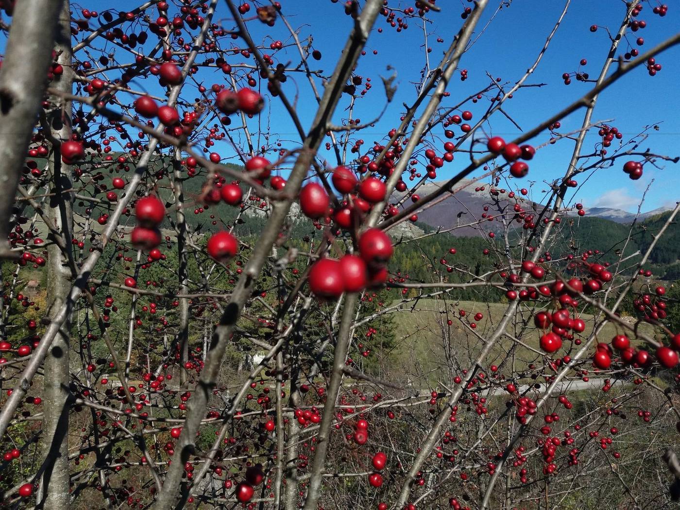 Hotel-Pinguino-Room-41