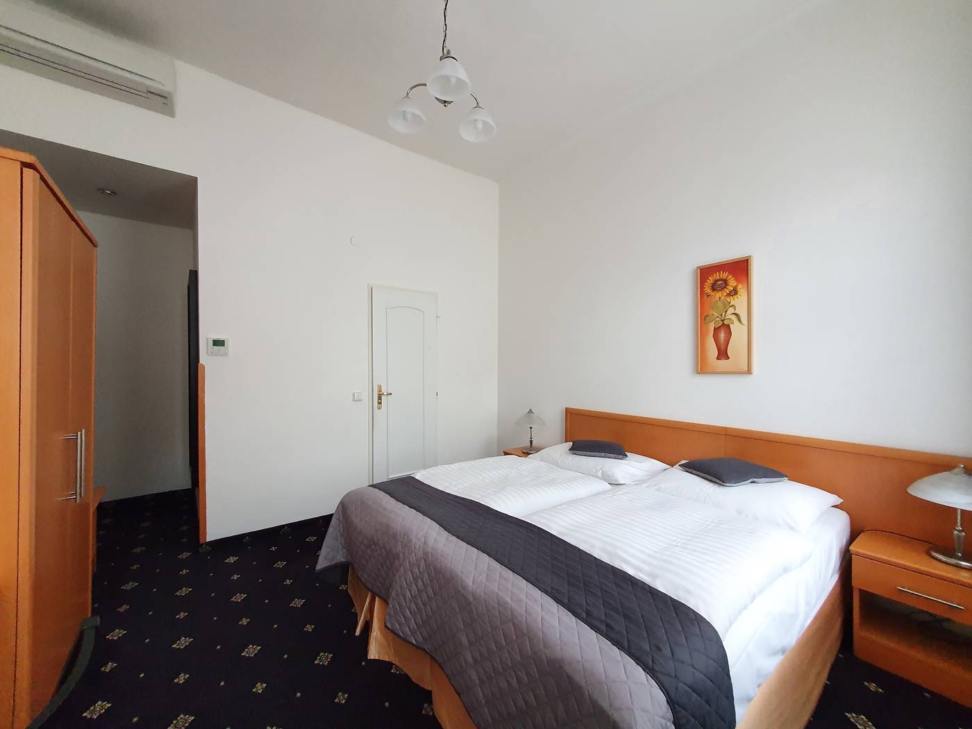 Machova-Czech Republic-Praha 2-Room-8