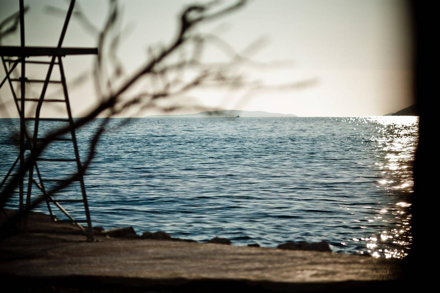 Jona-Split-Sports-and-Entertainment-46